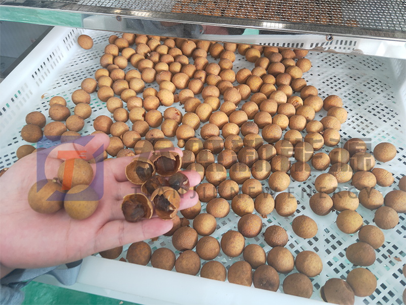 天杰新能源?；葜蔟堁酆娓蓹C(jī)開機(jī)大吉